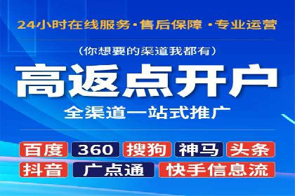 某某sem代运营公司：精准投放的背后策略